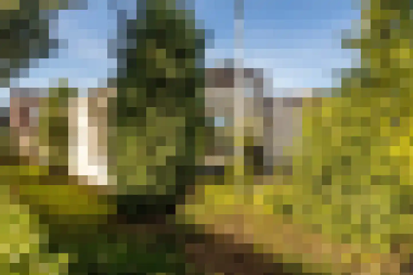 Sicofstraat 2 Beek thumbnail 9