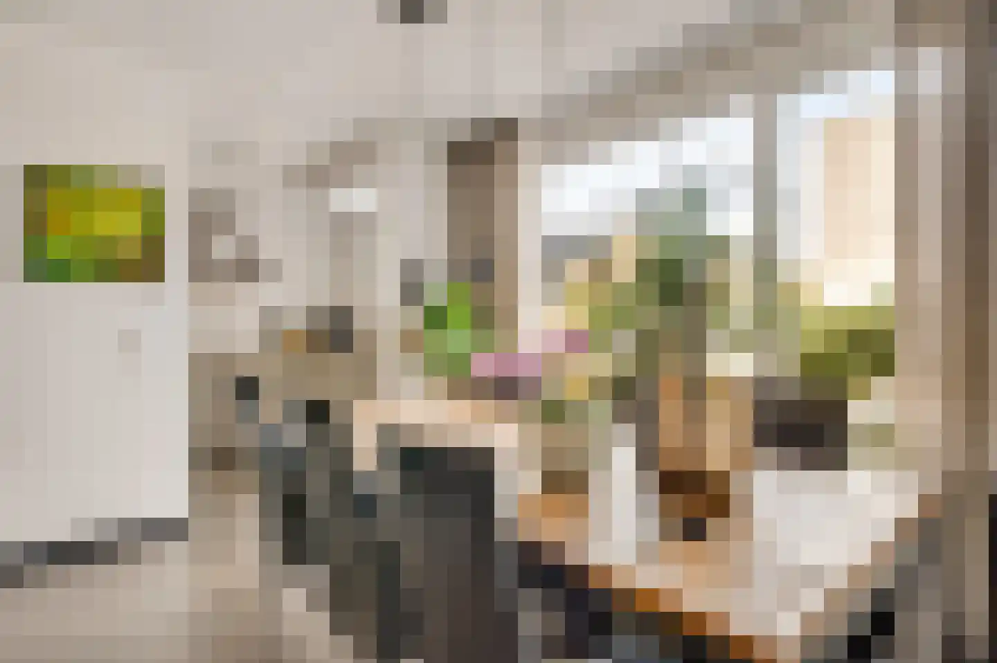 Sicofstraat 8 Beek thumbnail 5