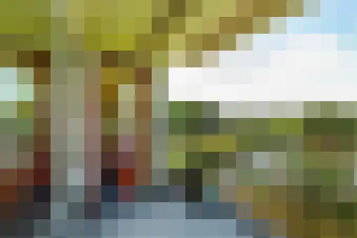Sidelingeplein 154 Rotterdam thumbnail 21