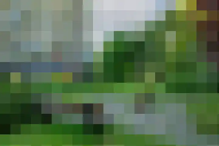 Sidelingeplein 154 Rotterdam thumbnail 27