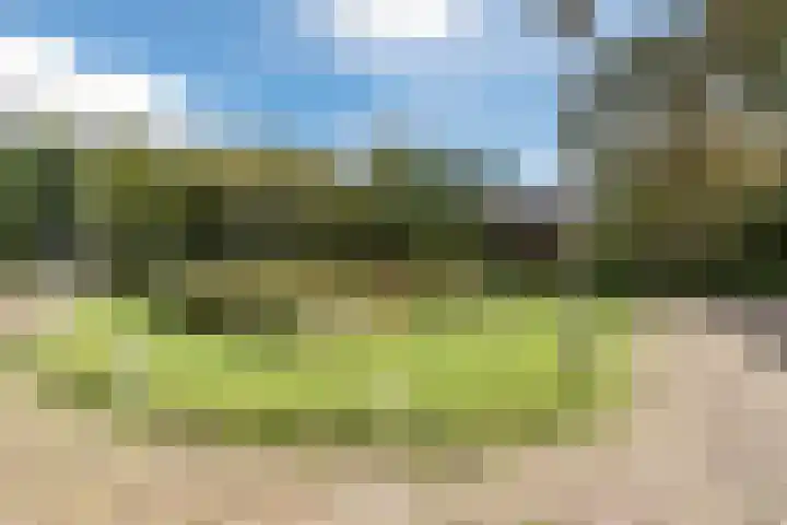 Sidelingeplein 156 Rotterdam thumbnail 38