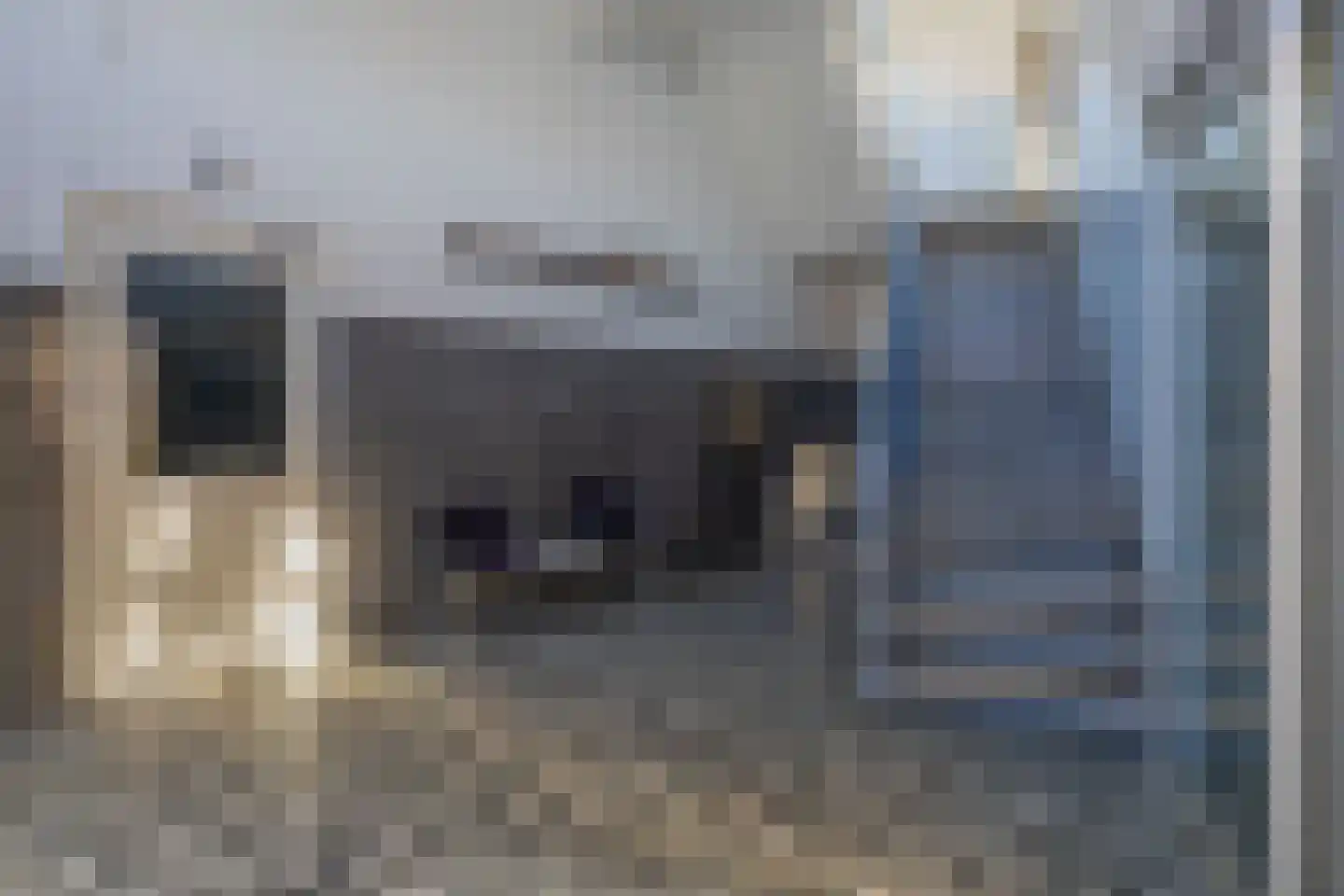 Sidelingeplein 176 Rotterdam thumbnail 24