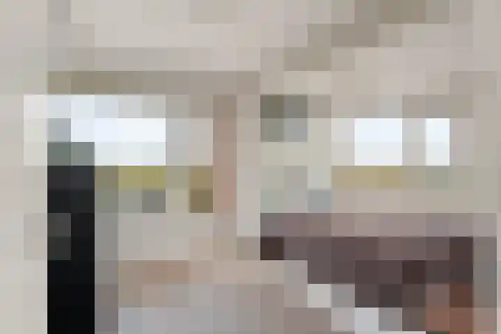 Sidelingeplein 214 Rotterdam thumbnail 14