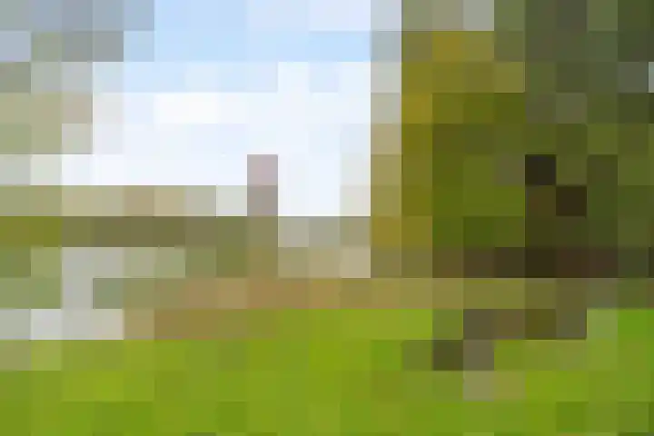 Sidelingeplein 214 Rotterdam thumbnail 30