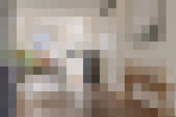 Sideriusstraat 8 a Sleen thumbnail 27