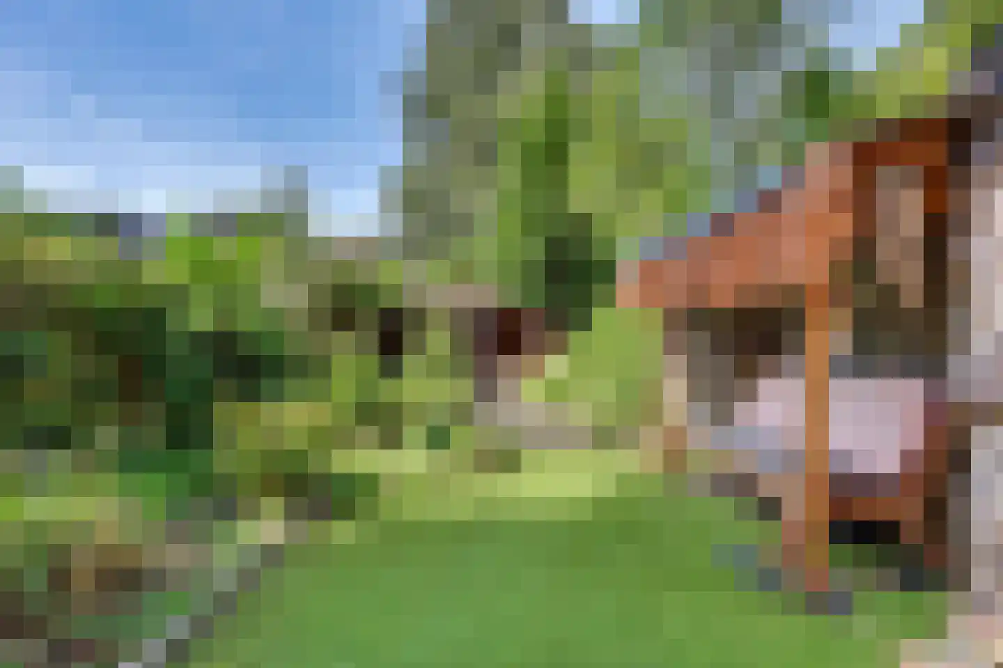 Sidneystraat 66 Zutphen thumbnail 37