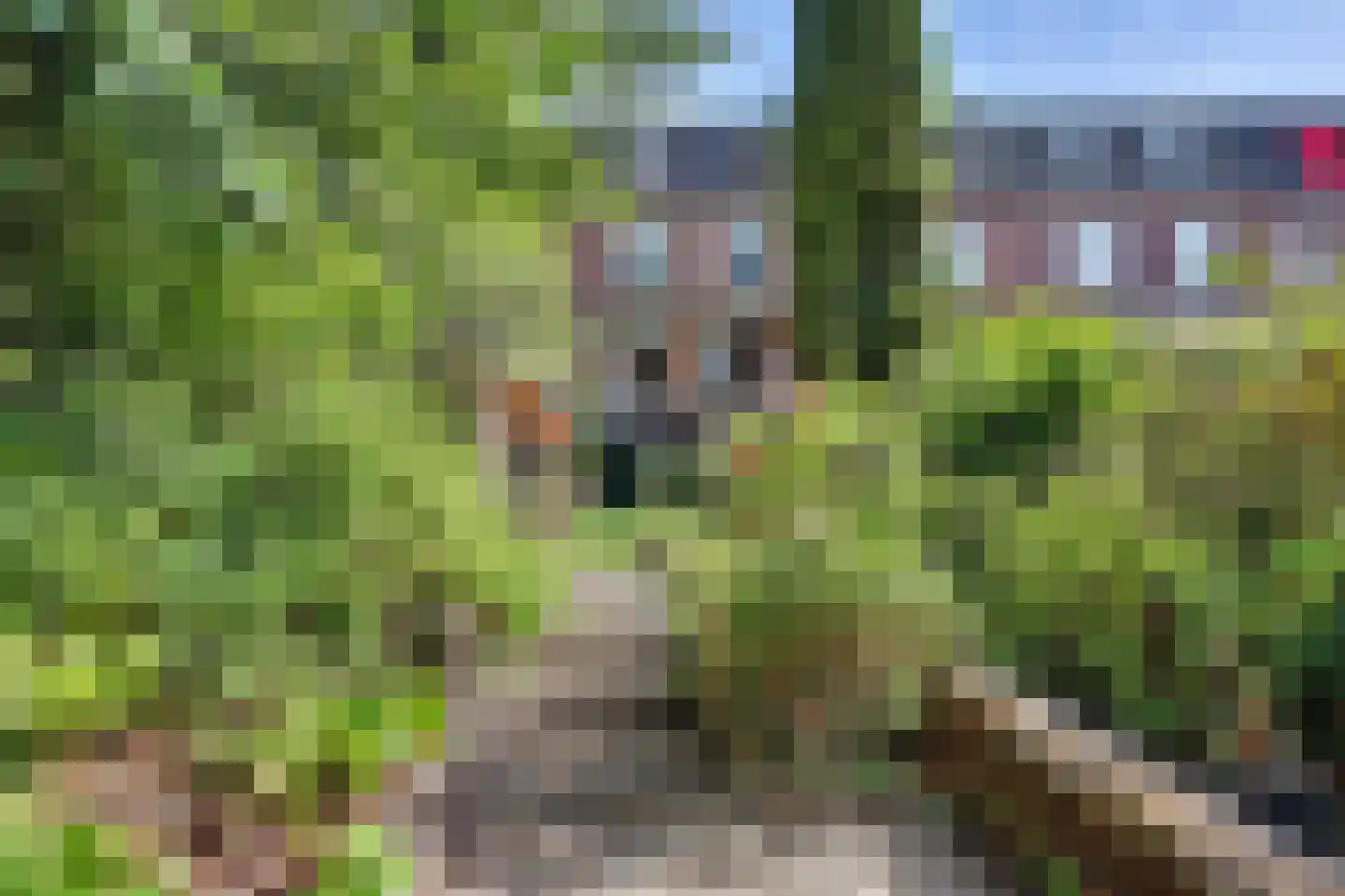 Sidneystraat 66 Zutphen thumbnail 42