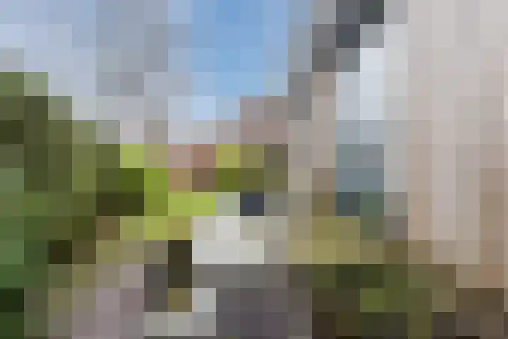 Sidoniastraat 10 Almere thumbnail 46