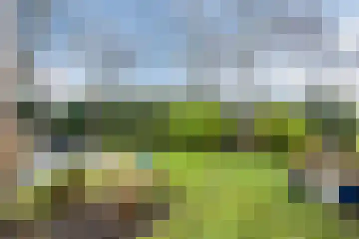 Sidoniastraat 10 Almere thumbnail 5