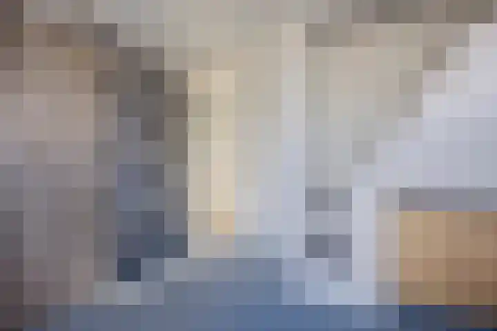 Sidoniastraat 11 Almere thumbnail 32