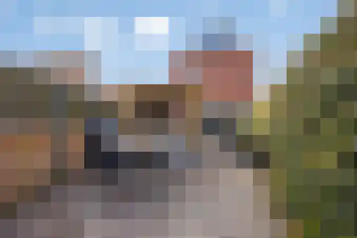 Sidoniastraat 11 Almere thumbnail 41
