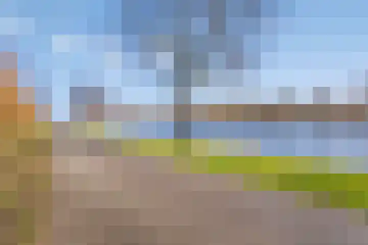 Sidoniastraat 11 Almere thumbnail 45