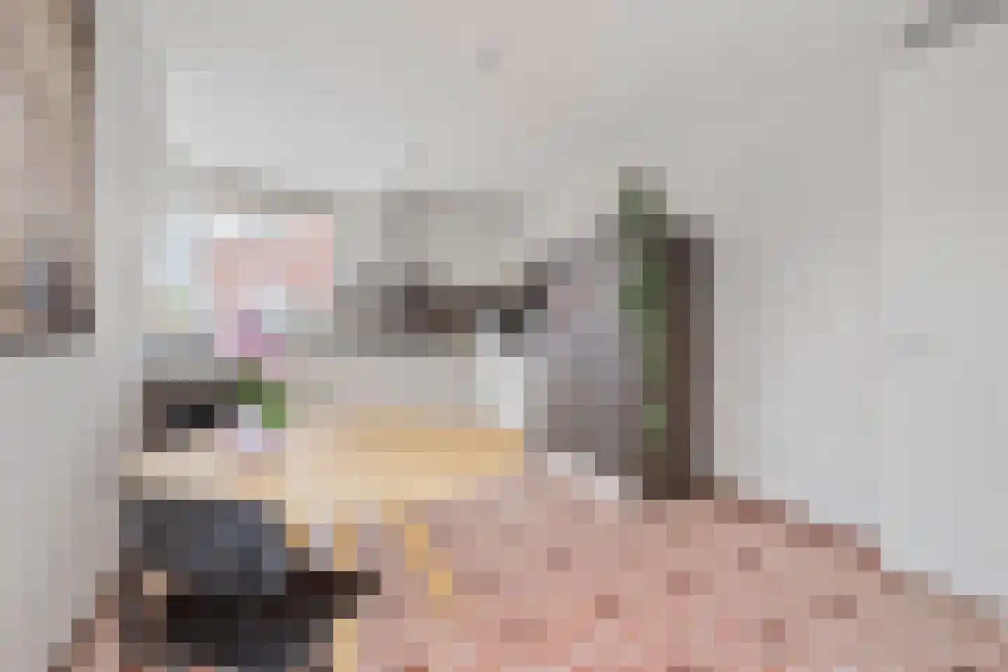 Sidoniastraat 24 Almere thumbnail 29
