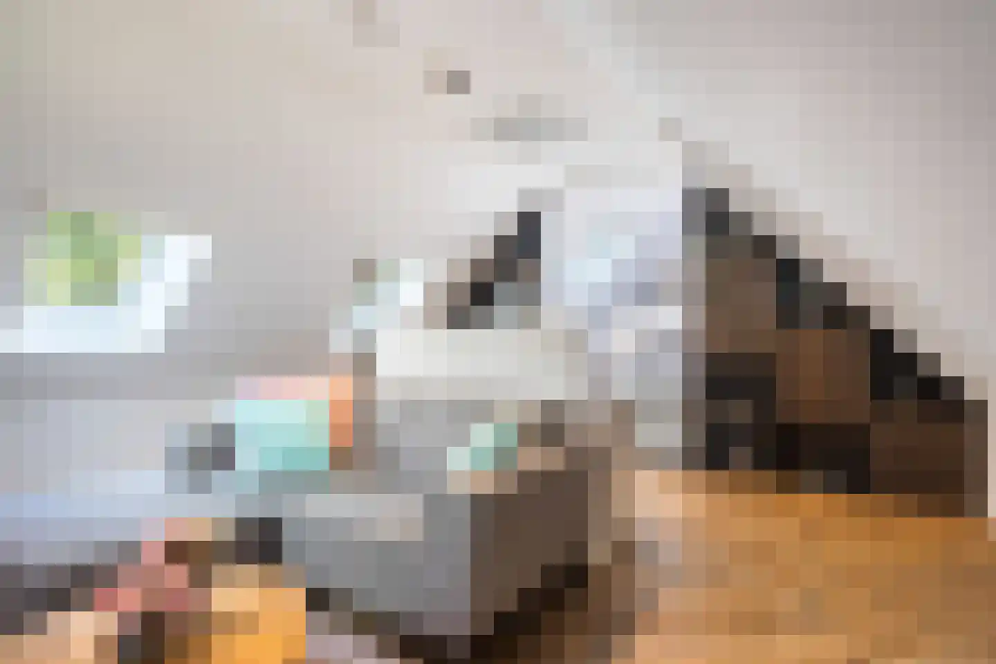 Siebe Annesweg 3 Oudehorne thumbnail 100