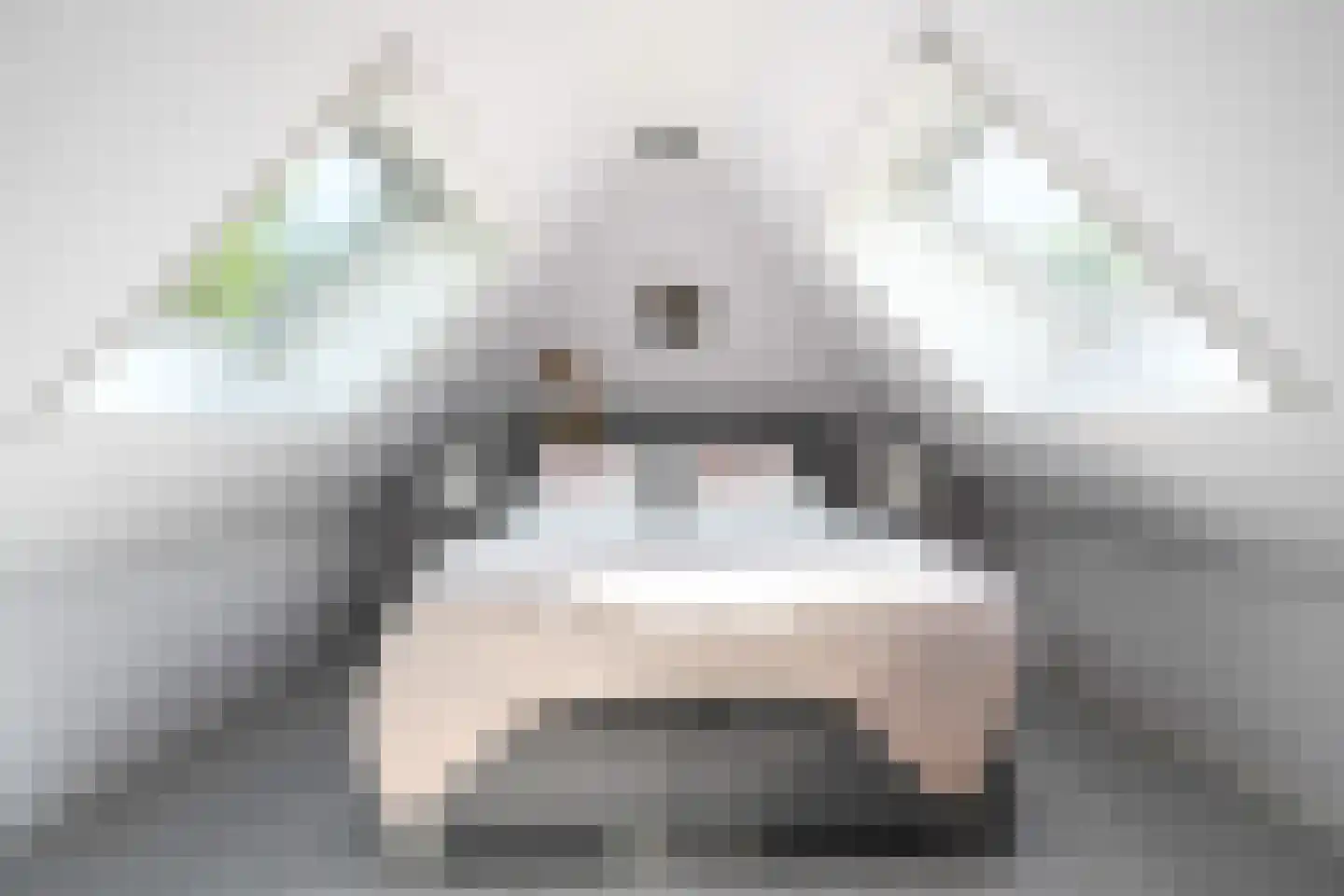 Siebe Annesweg 3 Oudehorne thumbnail 101