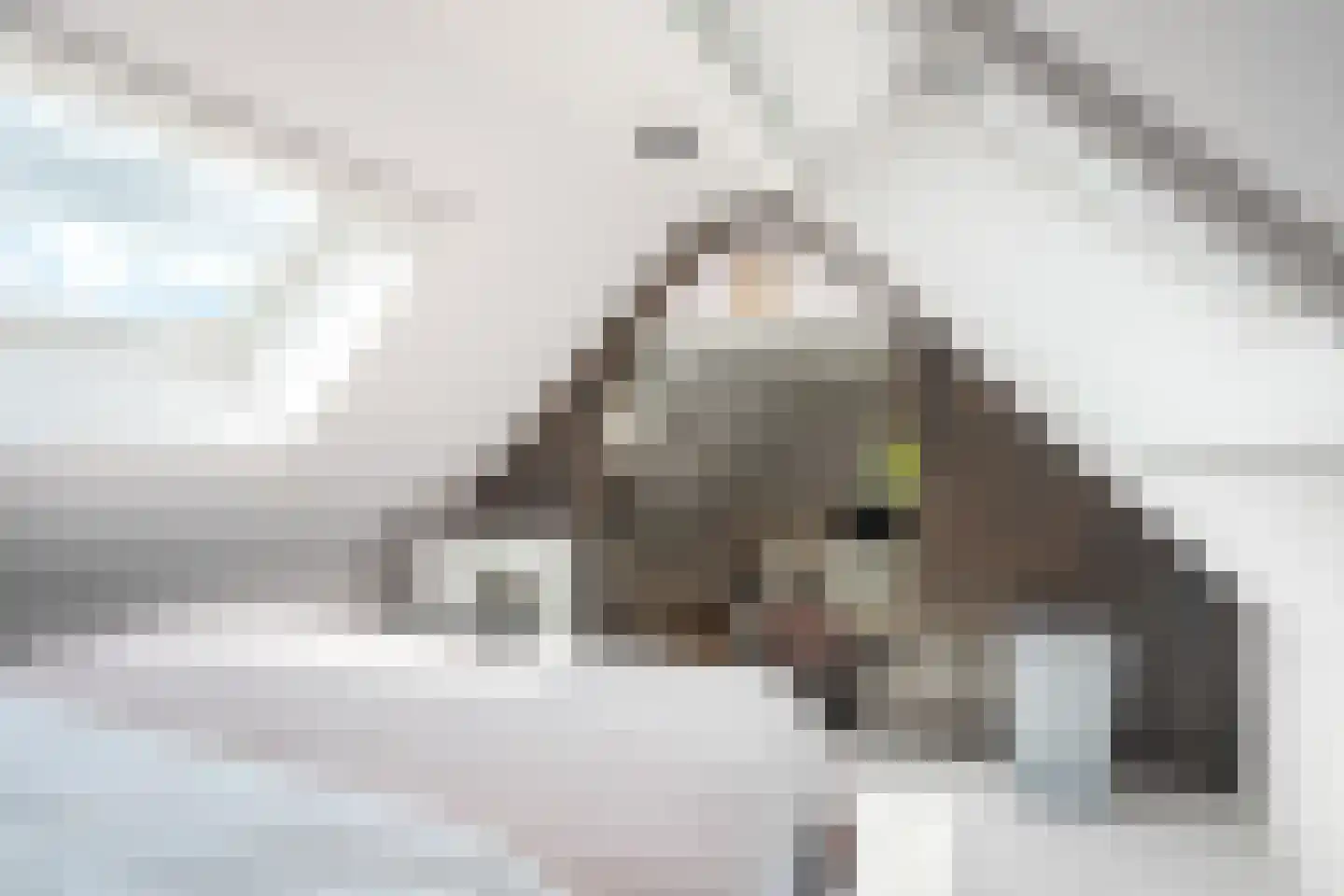 Siebe Annesweg 3 Oudehorne thumbnail 102