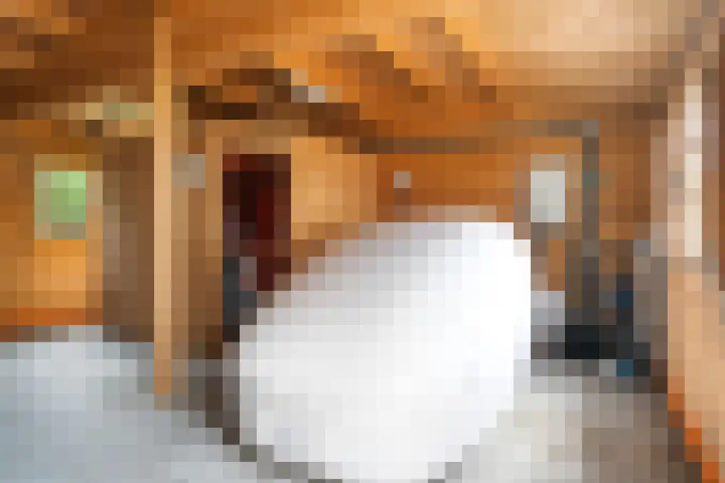 Siebe Annesweg 3 Oudehorne thumbnail 104