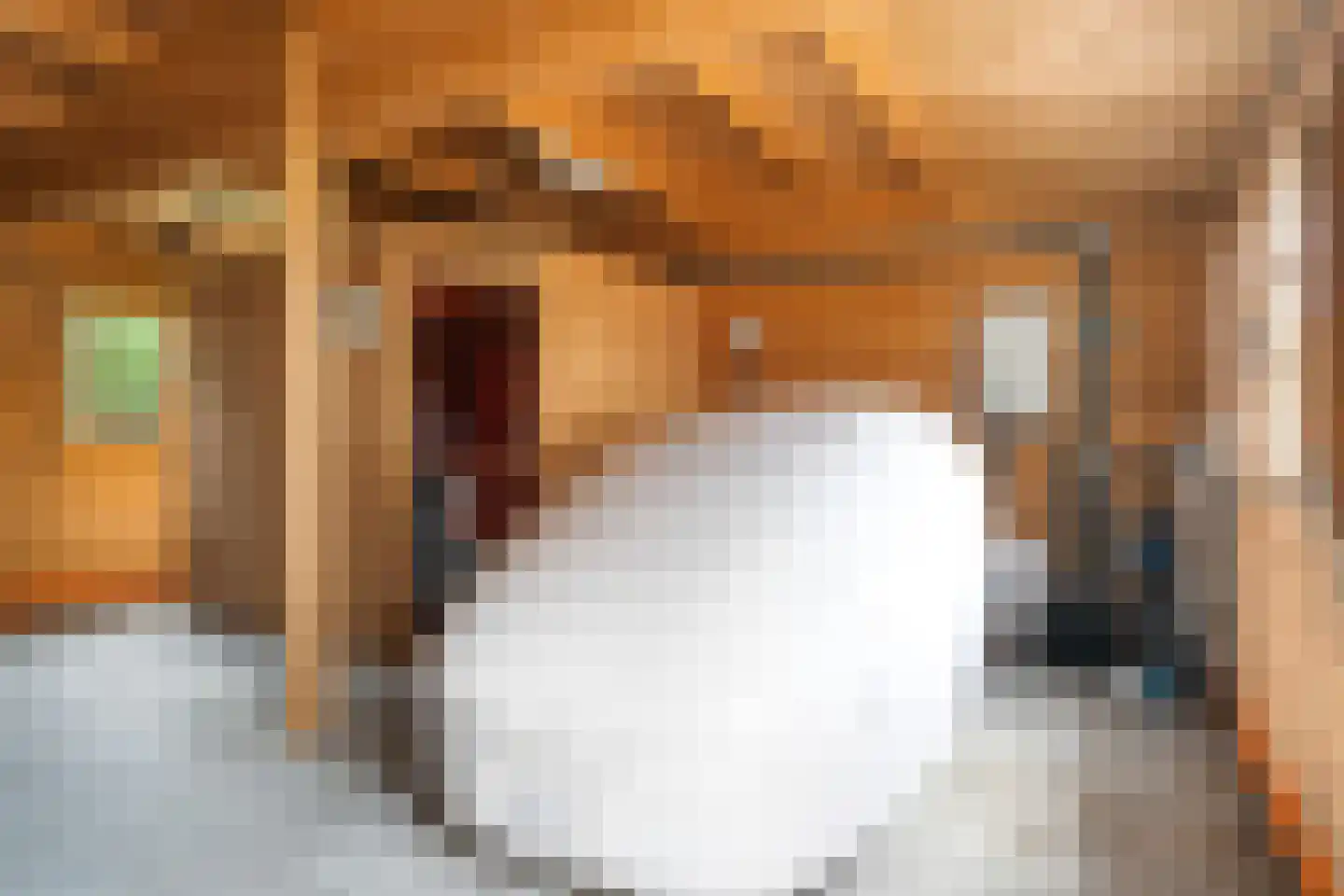 Siebe Annesweg 3 Oudehorne thumbnail 104