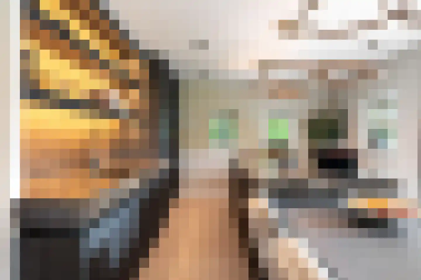 Siebe Annesweg 3 Oudehorne thumbnail 32
