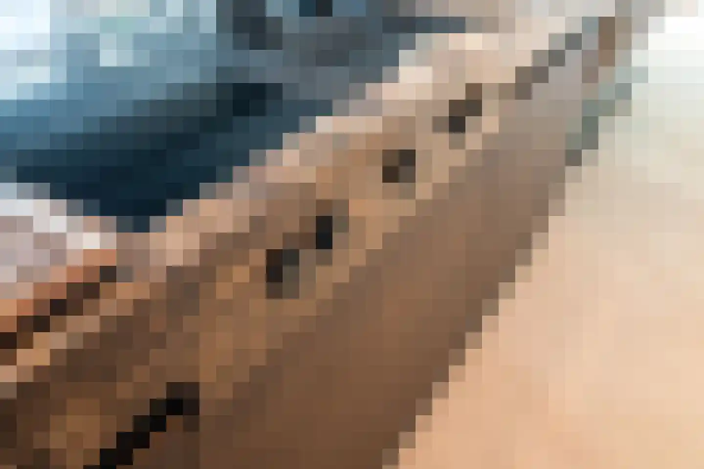 Siebe Annesweg 3 Oudehorne thumbnail 37