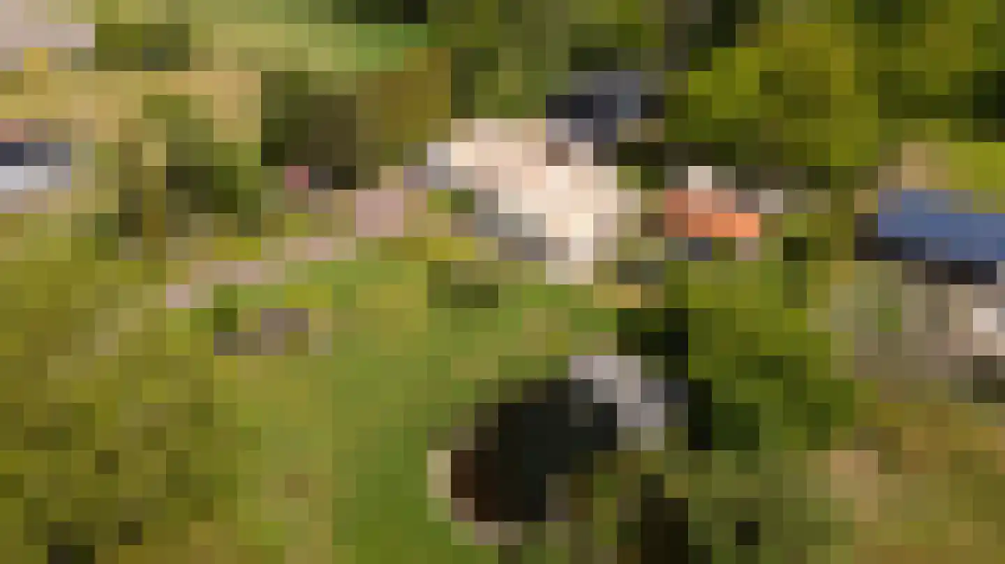 Siebe Annesweg 3 Oudehorne thumbnail 4