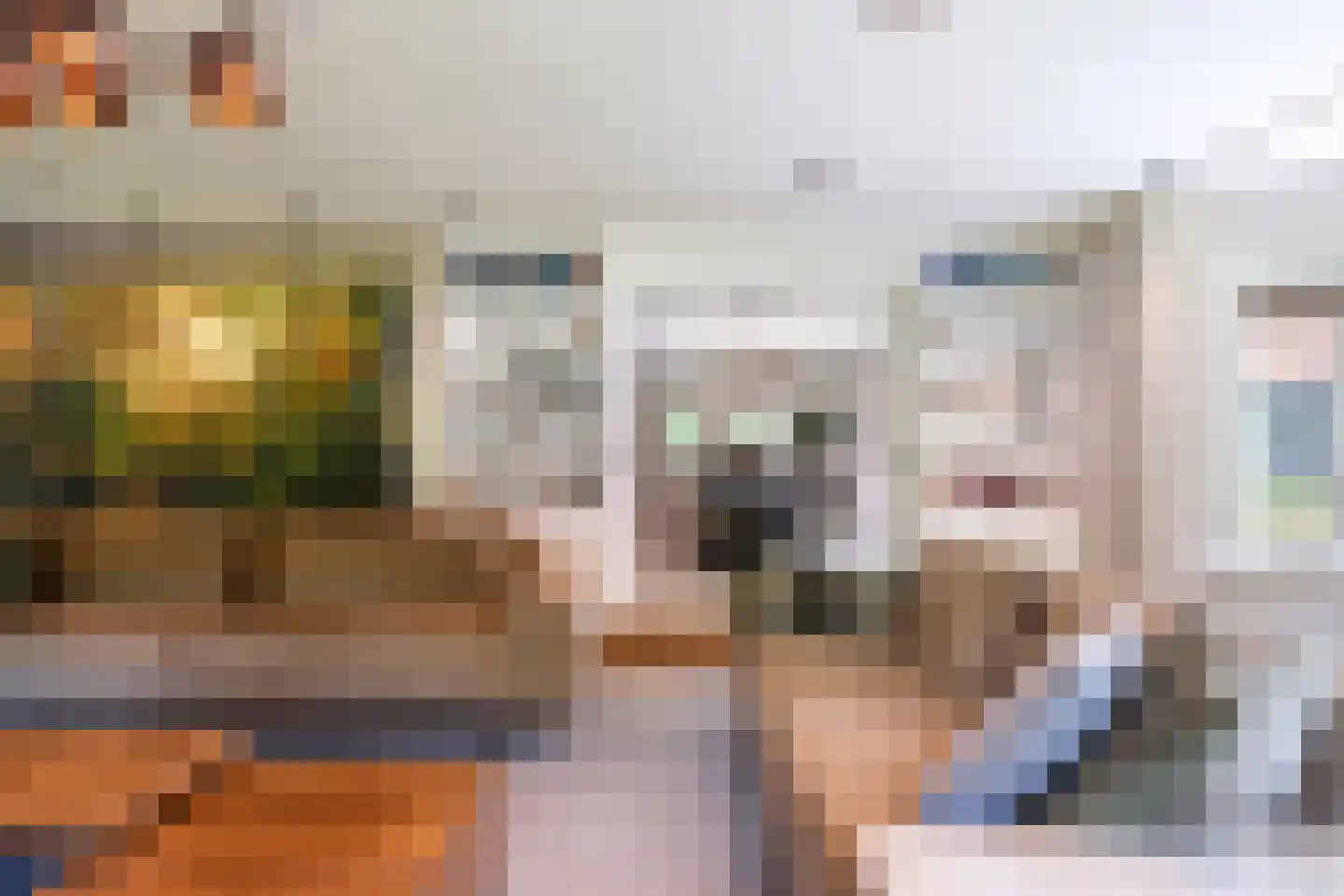 Siebe Annesweg 3 Oudehorne thumbnail 45