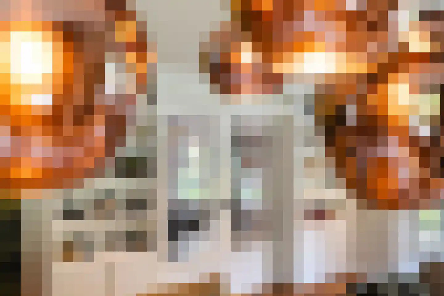 Siebe Annesweg 3 Oudehorne thumbnail 48