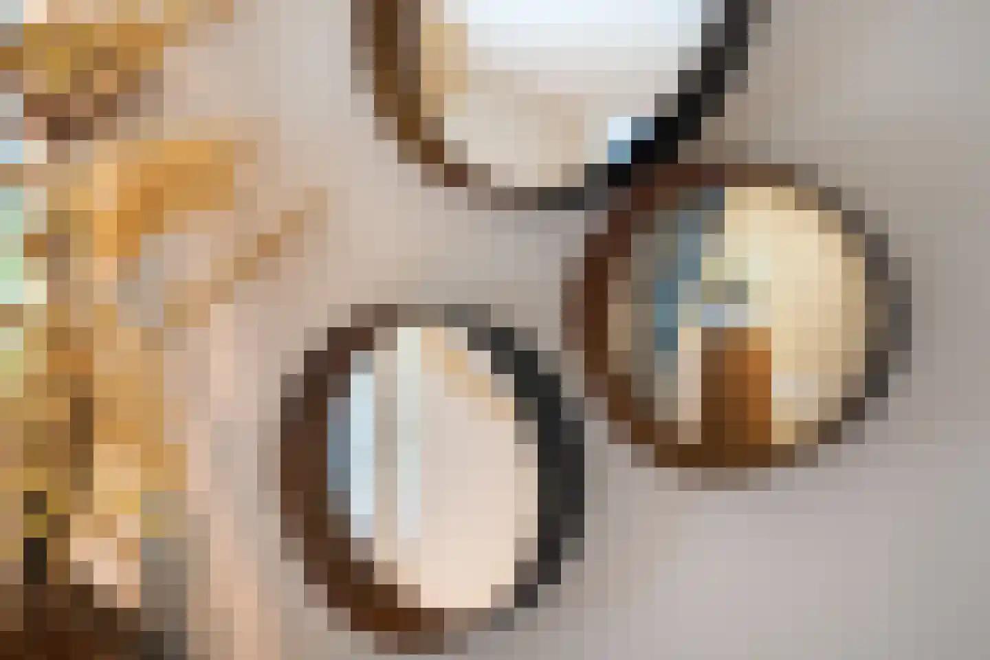 Siebe Annesweg 3 Oudehorne thumbnail 54