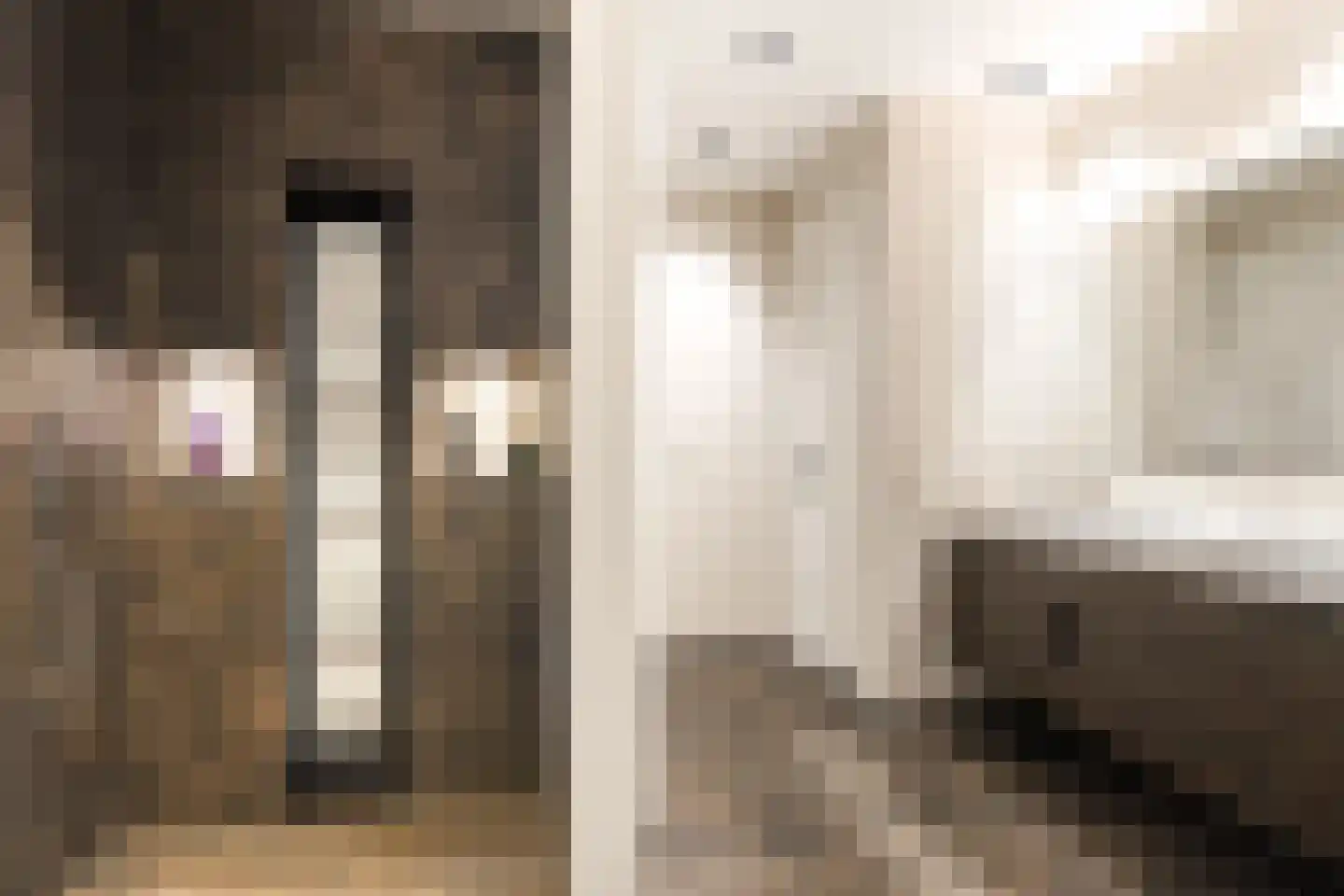 Siebe Annesweg 3 Oudehorne thumbnail 55