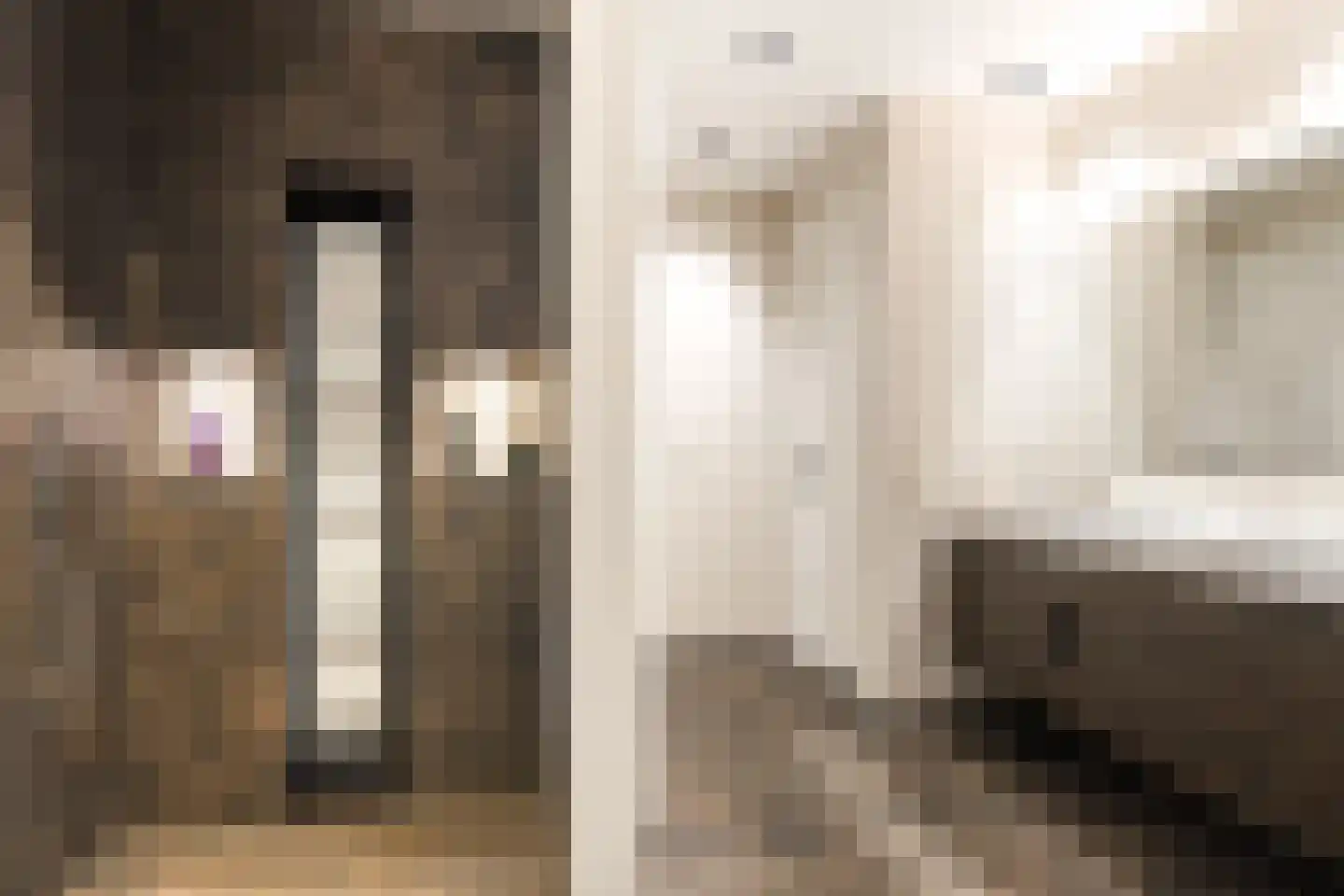 Siebe Annesweg 3 Oudehorne thumbnail 55