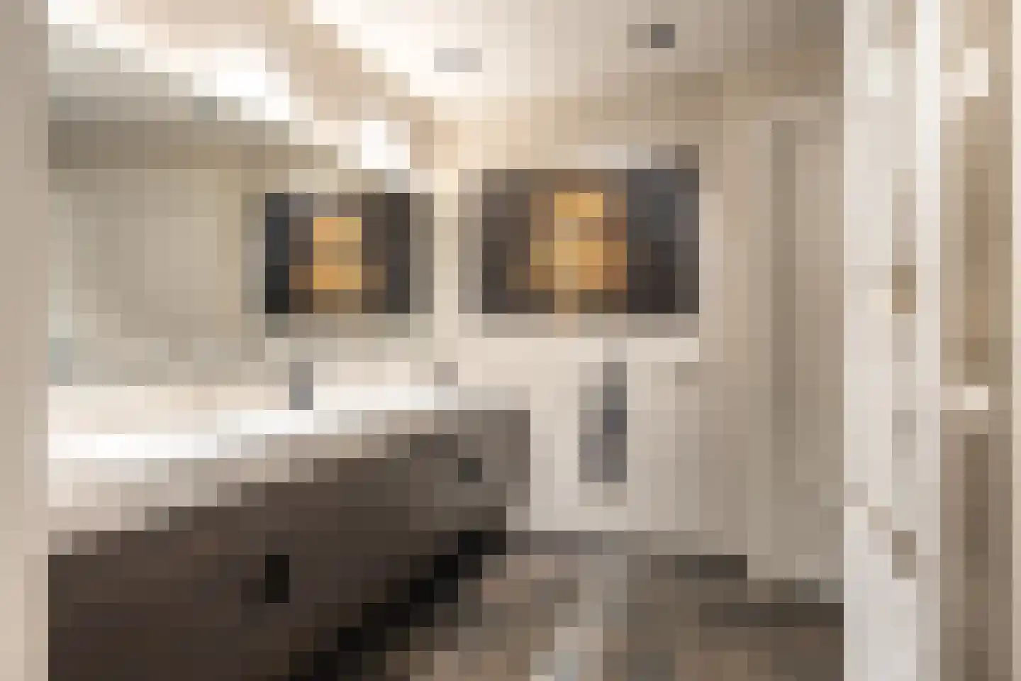 Siebe Annesweg 3 Oudehorne thumbnail 56