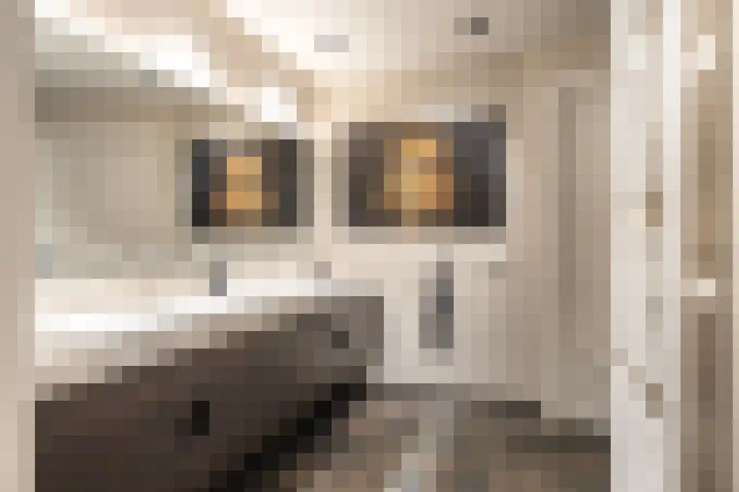 Siebe Annesweg 3 Oudehorne thumbnail 56