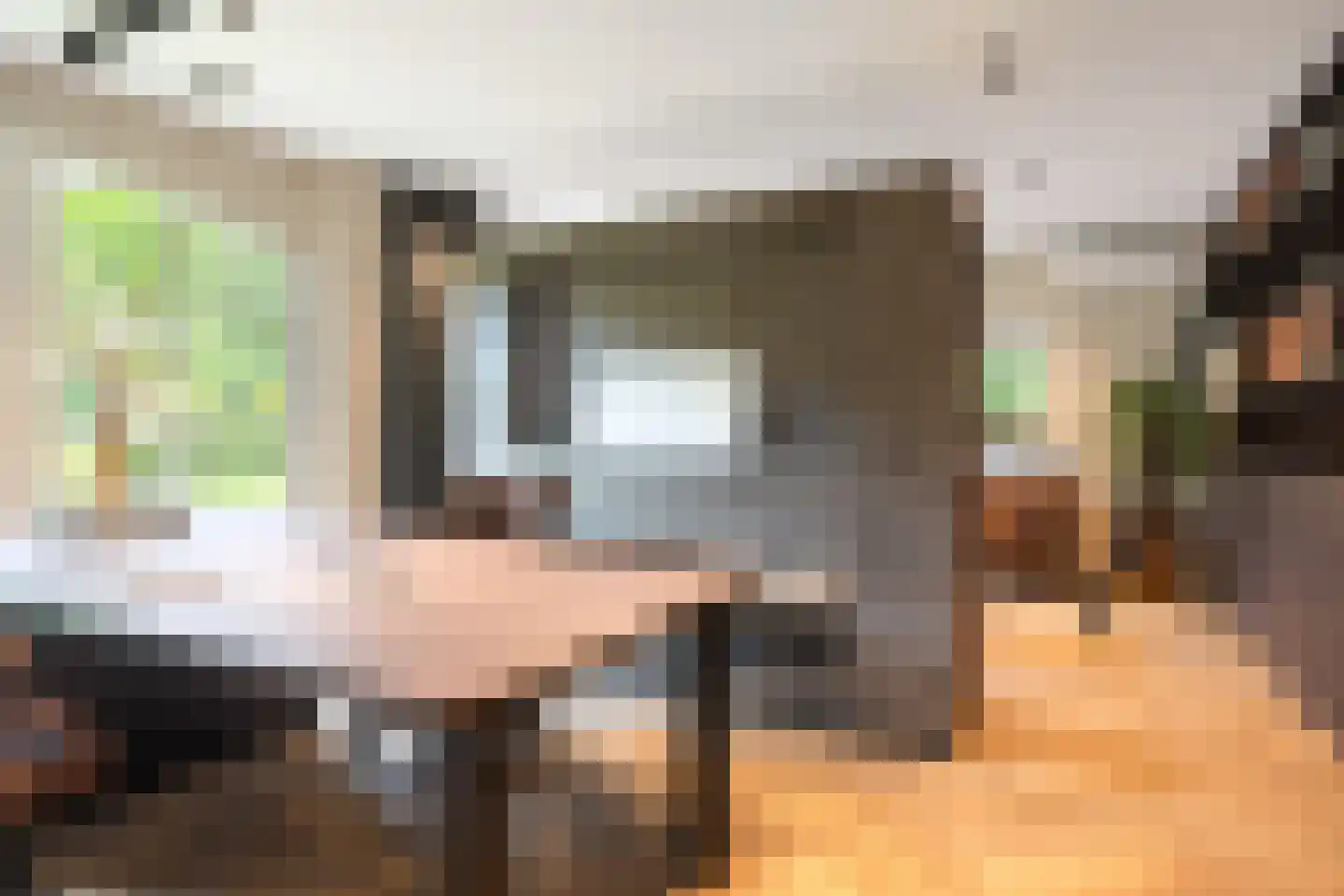 Siebe Annesweg 3 Oudehorne thumbnail 59