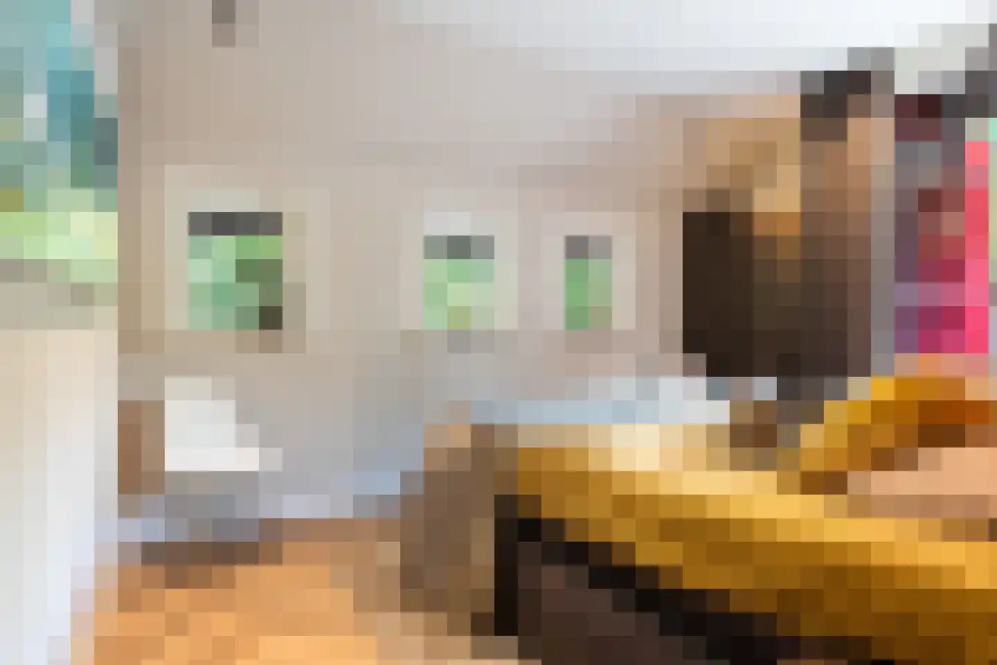 Siebe Annesweg 3 Oudehorne thumbnail 64
