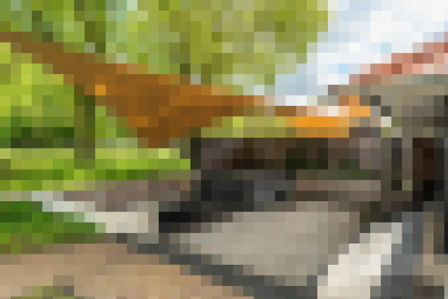 Siebe Annesweg 3 Oudehorne thumbnail 71