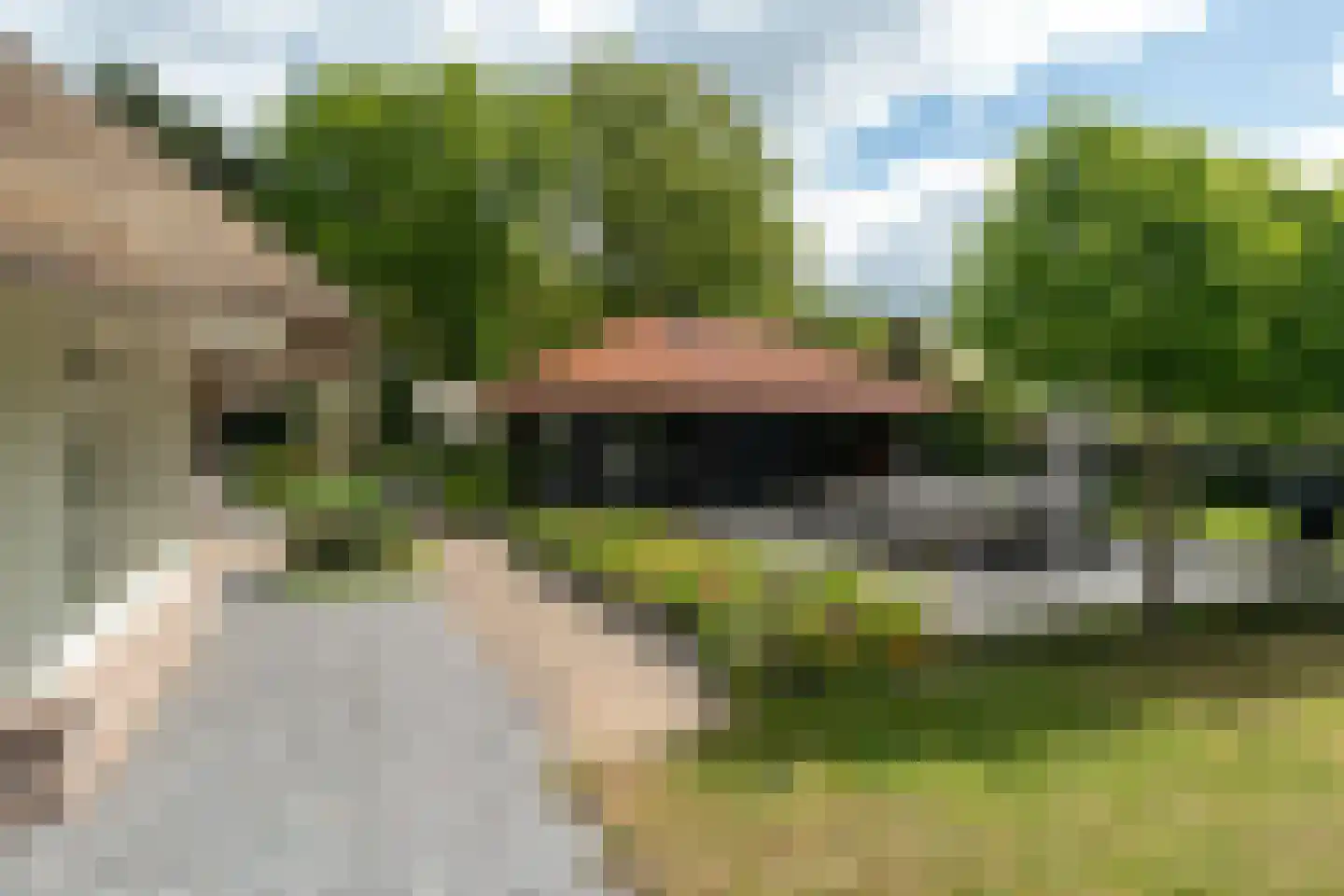 Siebe Annesweg 3 Oudehorne thumbnail 77