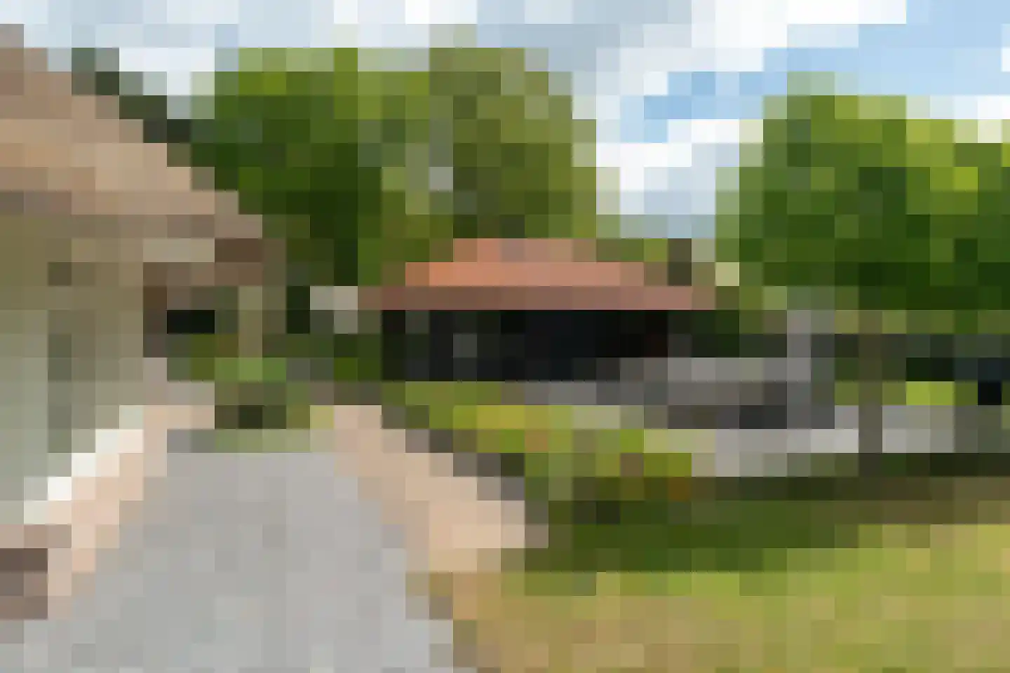 Siebe Annesweg 3 Oudehorne thumbnail 77