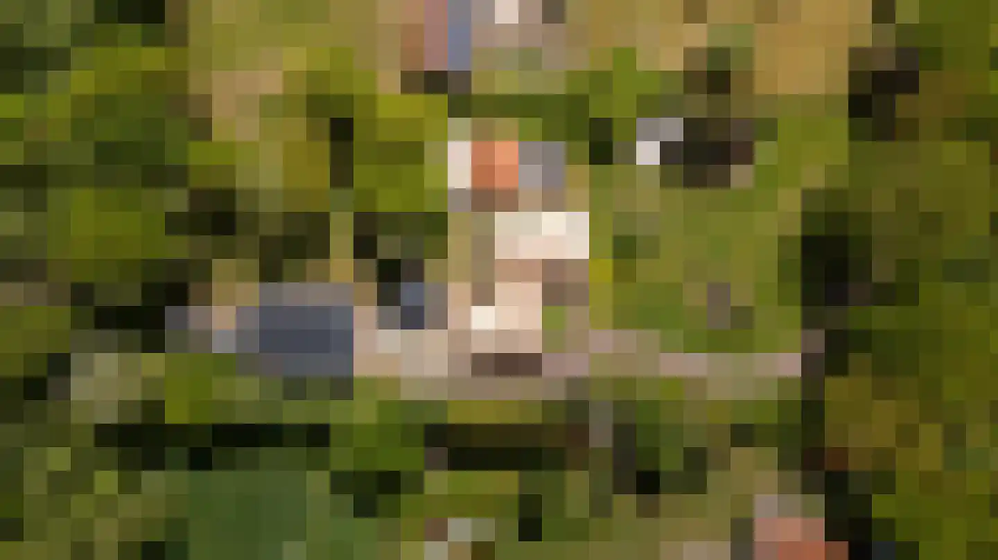 Siebe Annesweg 3 Oudehorne thumbnail 8