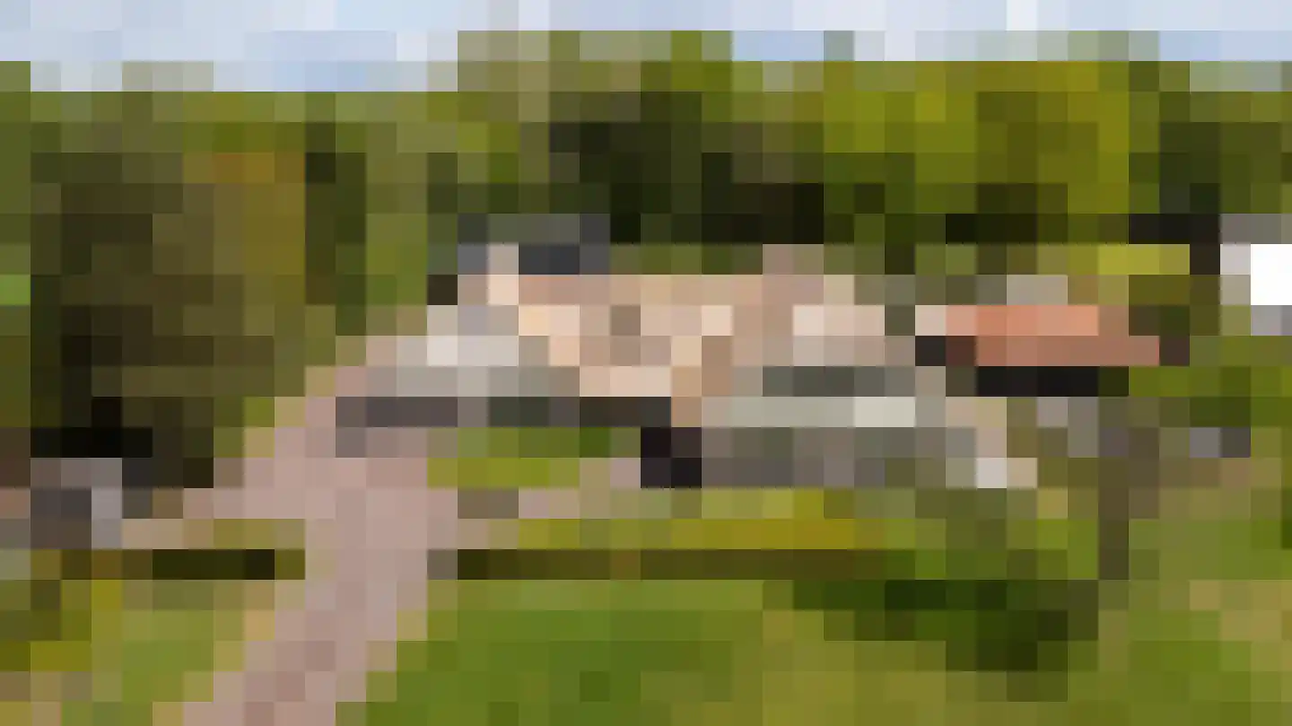 Siebe Annesweg 3 Oudehorne thumbnail 81