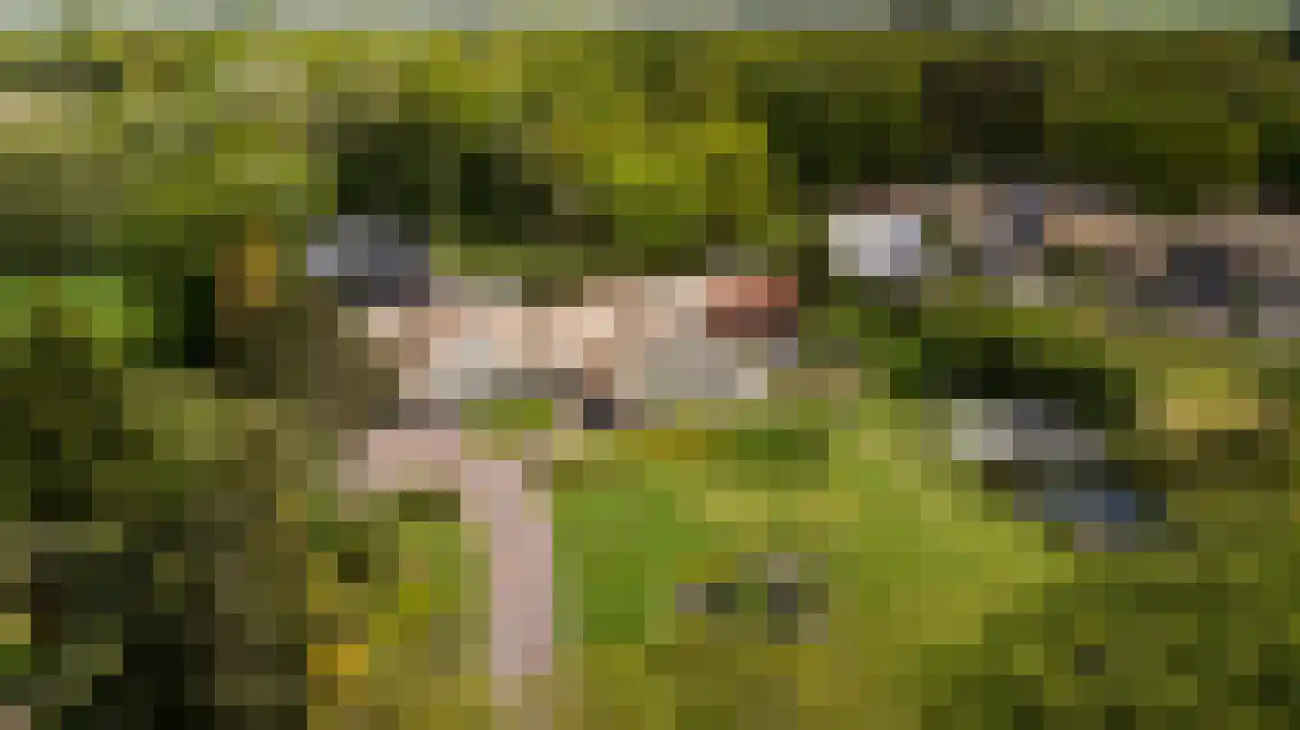 Siebe Annesweg 3 Oudehorne thumbnail 82