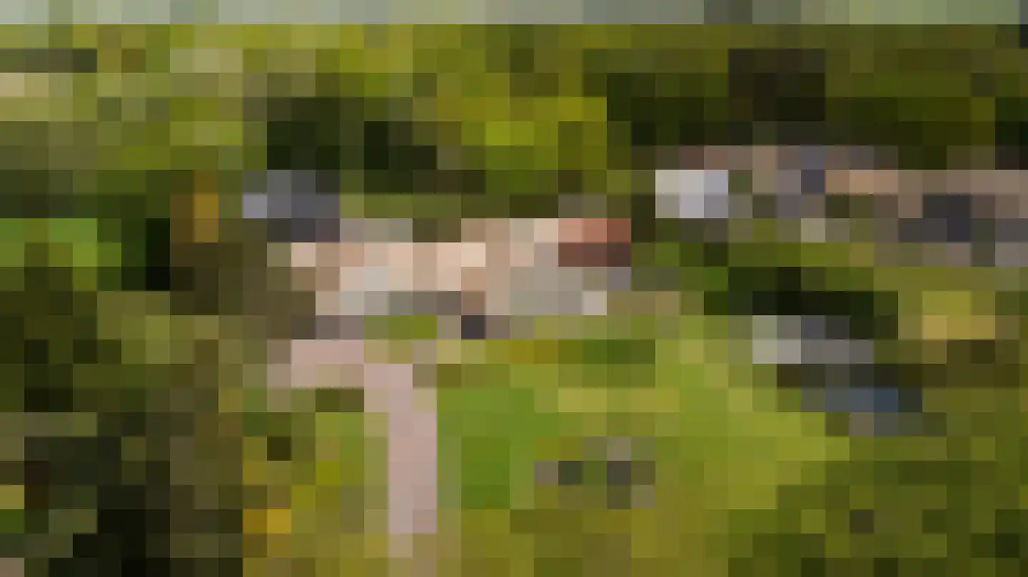 Siebe Annesweg 3 Oudehorne thumbnail 82