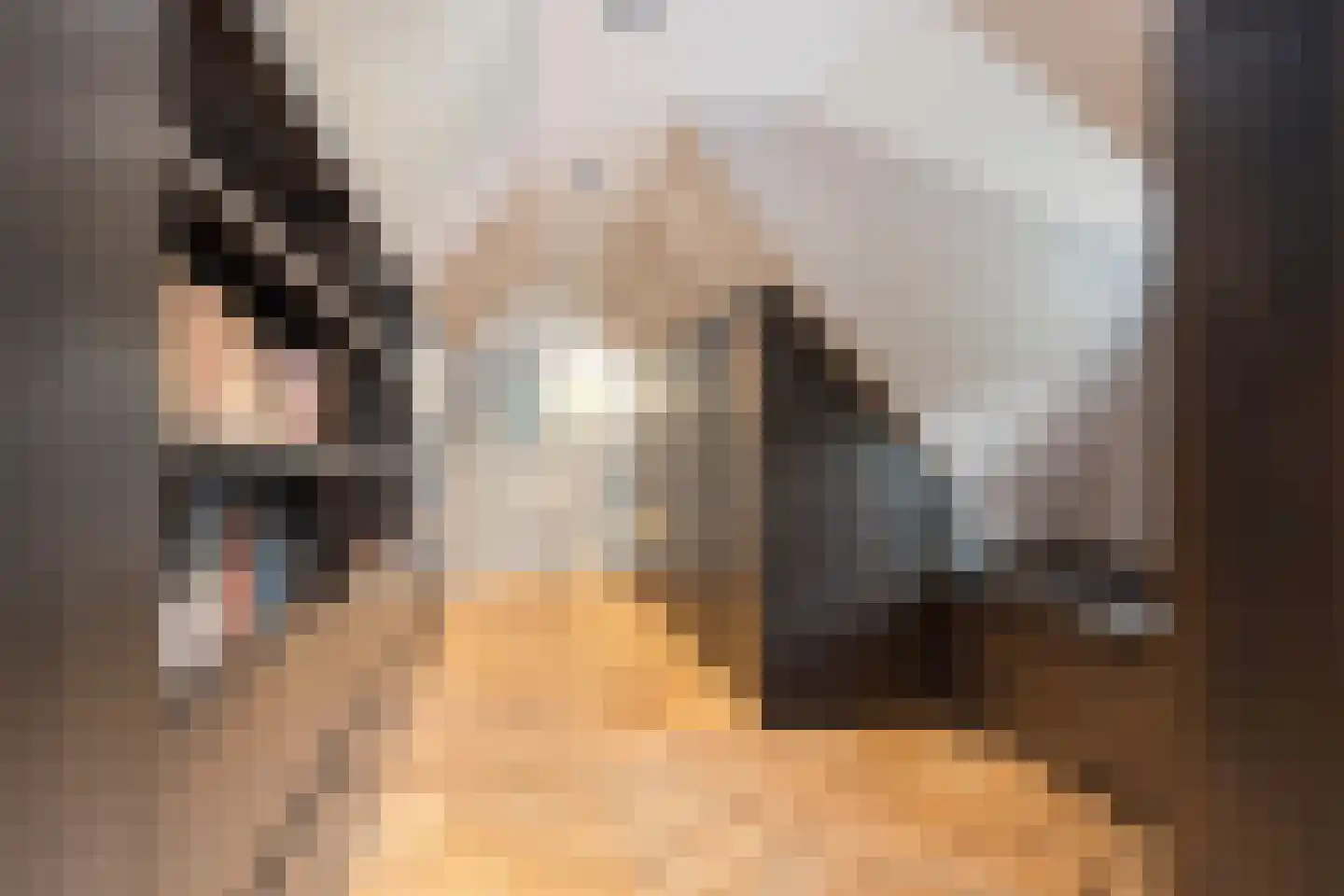 Siebe Annesweg 3 Oudehorne thumbnail 83