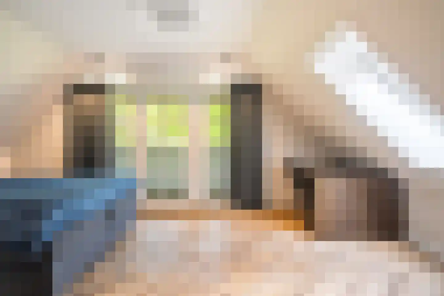 Siebe Annesweg 3 Oudehorne thumbnail 84