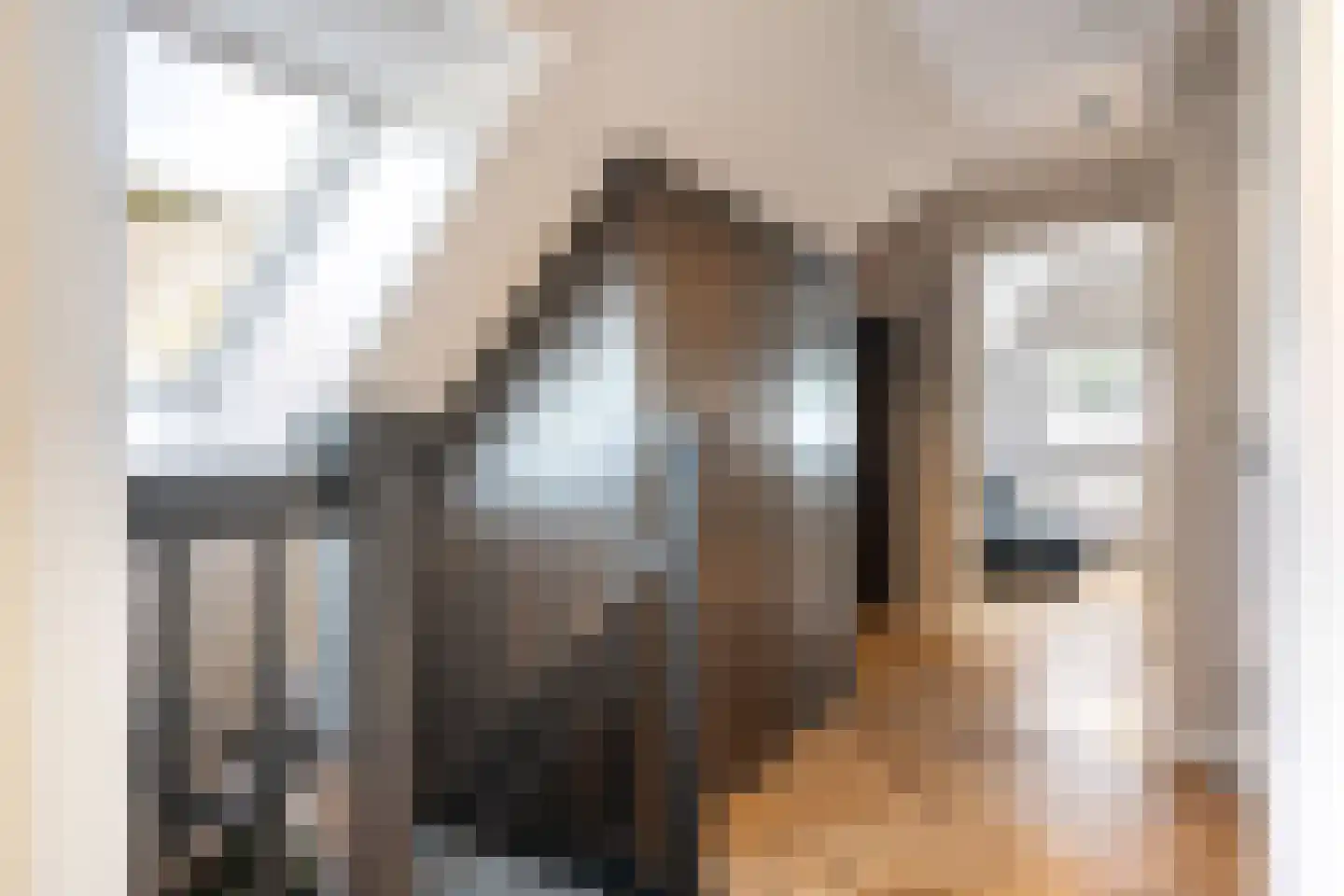 Siebe Annesweg 3 Oudehorne thumbnail 88