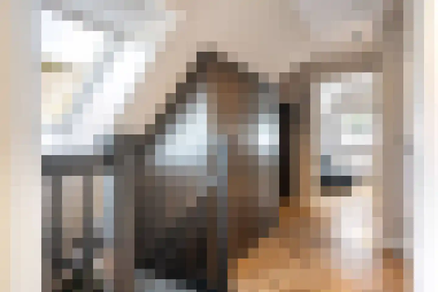 Siebe Annesweg 3 Oudehorne thumbnail 88