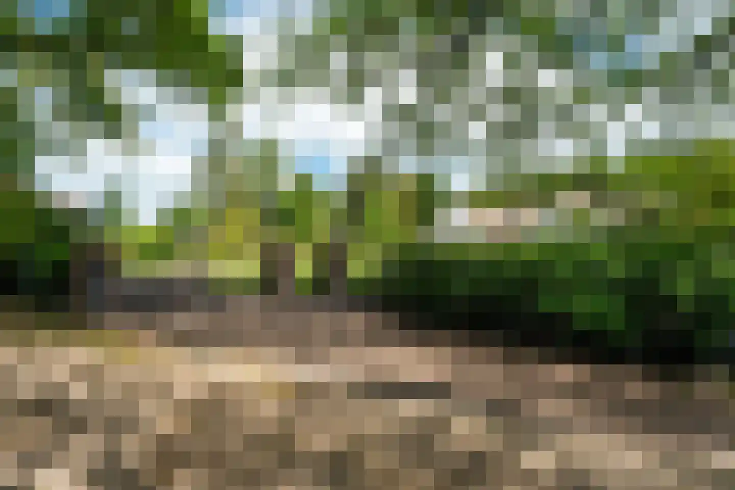 Siebe Annesweg 3 Oudehorne thumbnail 9