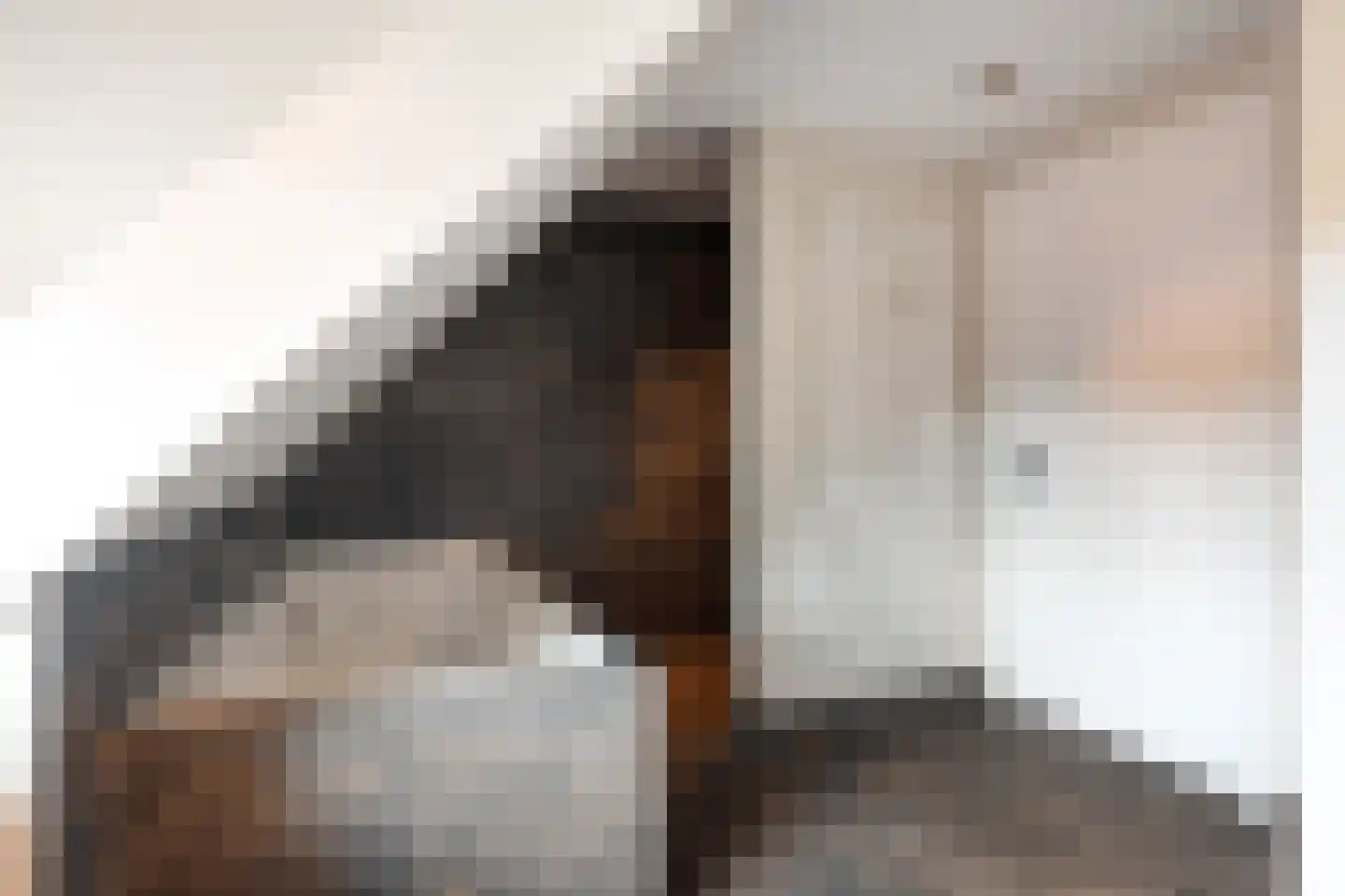 Siebe Annesweg 3 Oudehorne thumbnail 90