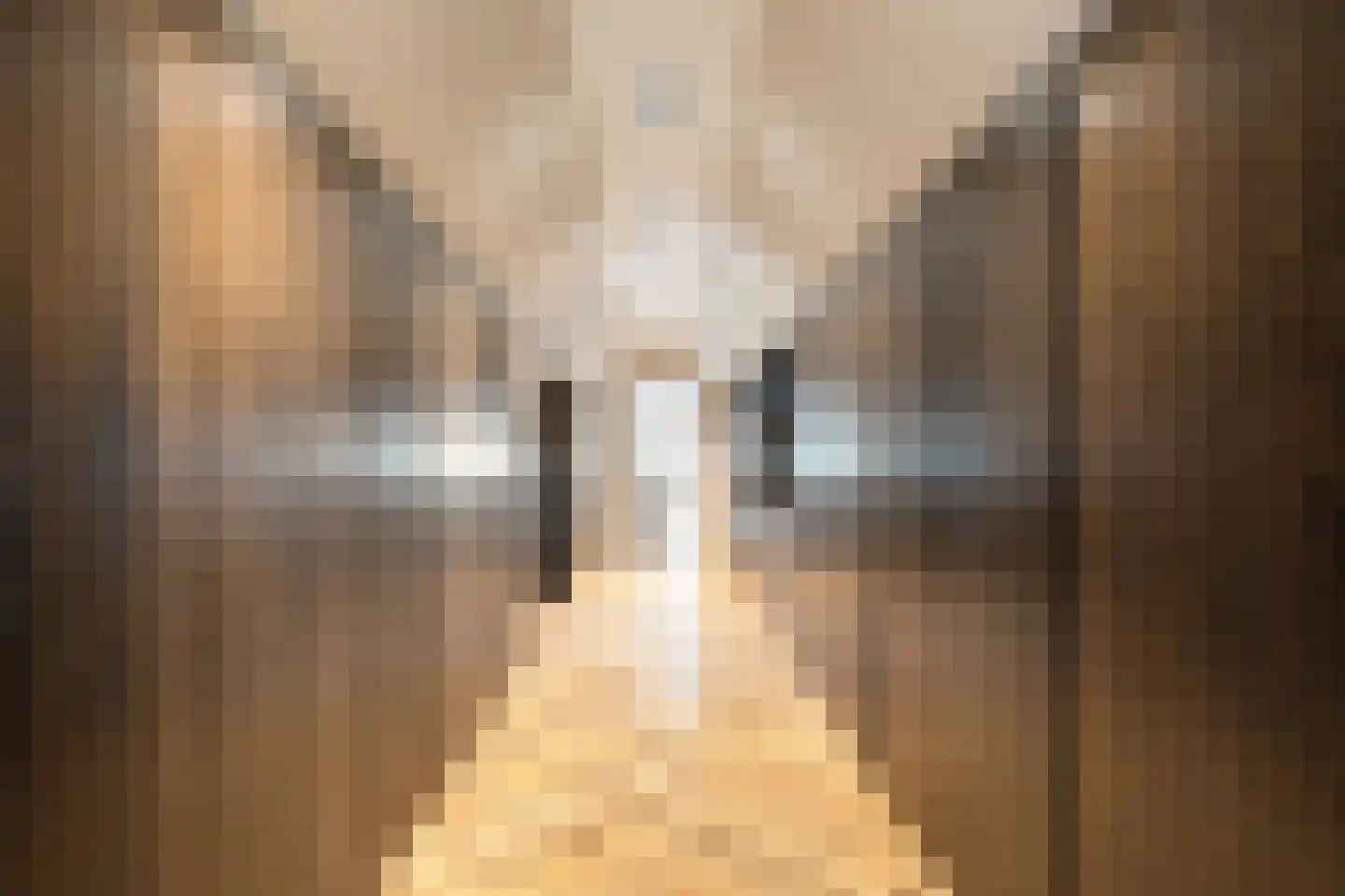 Siebe Annesweg 3 Oudehorne thumbnail 93