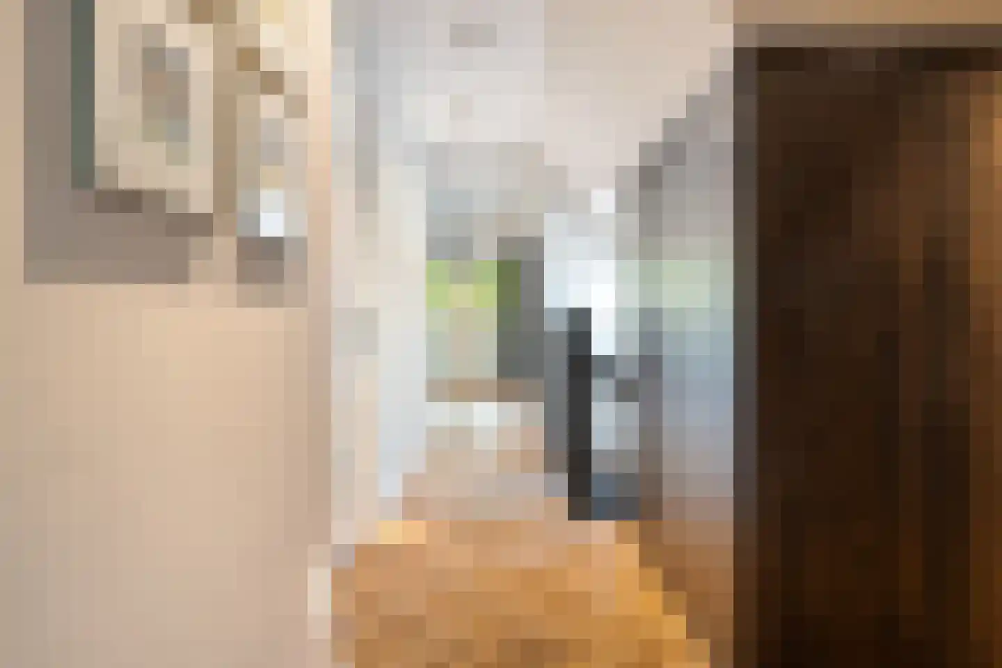 Siebe Annesweg 3 Oudehorne thumbnail 95