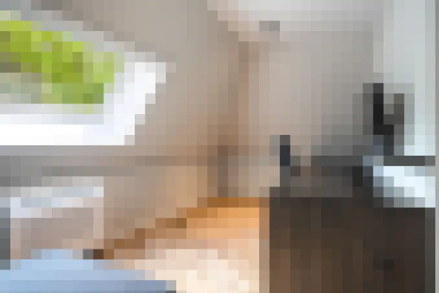 Siebe Annesweg 3 Oudehorne thumbnail 97